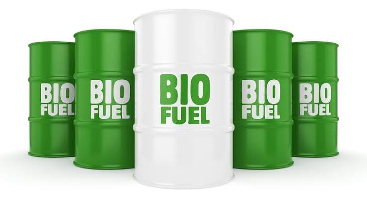 Bioheat Fuel